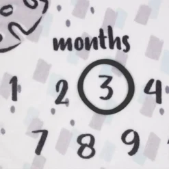 Disney Lion King Milestone Blanket -Disney Sales Store GUEST 10cc56a5 efd9 422c a7e9 3f68573d8274