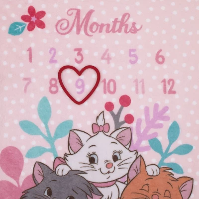 NoJo Disney Aristocats Pink Picture Purr-fect Super Soft Photo Op Milestone Baby Blanket 3 NoJo Disney Aristocats Pink Picture Purr-fect Super Soft Photo Op Milestone Baby Blanket - Image 3