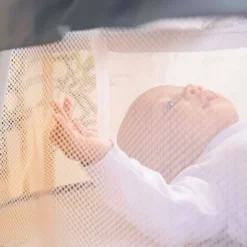 Bright Starts Disney Baby Winnie The Pooh Soothing Baby Bassinet - Slumber Party -Disney Sales Store GUEST 1a668770 99c0 4a74 a007 2fa3c4c493ce