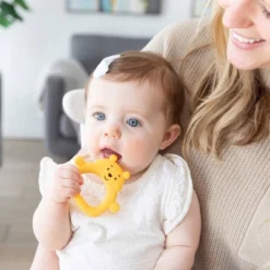 Disney Silicone Teether - Winnie The Pooh