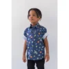 Disney Pixar Hawaiian Button Down Dress Shirt