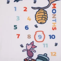 NoJo Disney Winnie The Pooh White, Blue, And Yellow Sweet As Can Bee Super Soft Photo Op Milestone Baby Blanket -Disney Sales Store GUEST 3eacd2b2 f8f2 40a9 9bc0 4744da9bf9f3