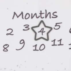 Disney Dumbo Super Soft Milestone Baby Blanket -Disney Sales Store GUEST 5e3fb459 8514 4782 bb52 48d5e0de1a36