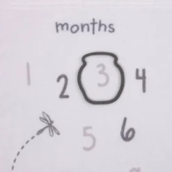 Disney Baby Classic Pooh Milestone Blanket -Disney Sales Store GUEST 6dcf4956 b977 4ea7 82e7 22e1e03aac98