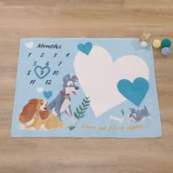 NoJo Disney Lady & The Tramp Blue, White, And Gold Love At First Sight Super Soft Photo Op Milestone Baby Blanket -Disney Sales Store GUEST b52c6954 c58b 4628 9d5e c9c0cc73b833