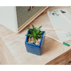 Silver Buffalo Disney Atlantis: The Lost Empire Stone Face 4-Inch Ceramic Mini Planter -Disney Sales Store GUEST beec8d8e c254 4f4b af4b fb063bf1c703