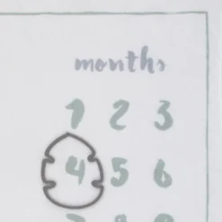 Disney Lion King Simba Super Soft Milestone Baby Blanket 7 Disney Lion King Simba Super Soft Milestone Baby Blanket -Disney Sales Store GUEST c9e5ac9f 0fb6 4912 8b89 c46e7d0b3fe9